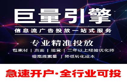 谷歌竞价广告与SEO结合的营销案例解析